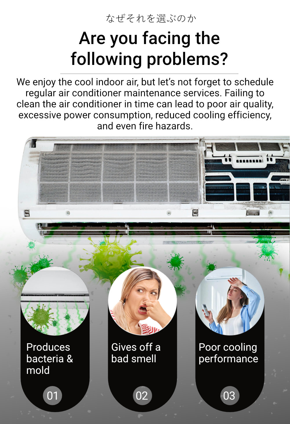 Cleafe Air Conditioner Cleaner-2